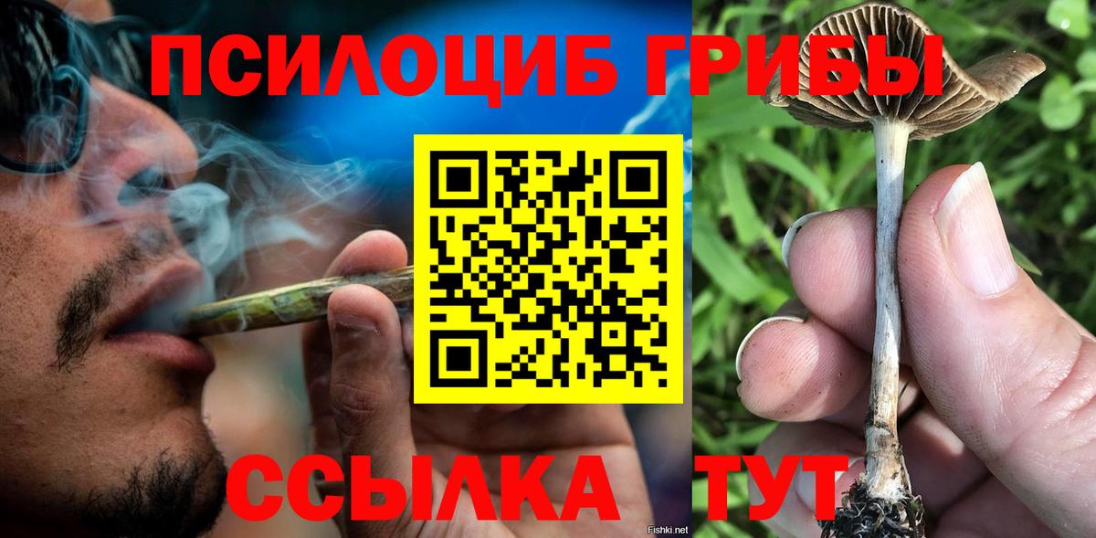 Псилоцибиновые грибы Psilocybine cubensis Владикавказ