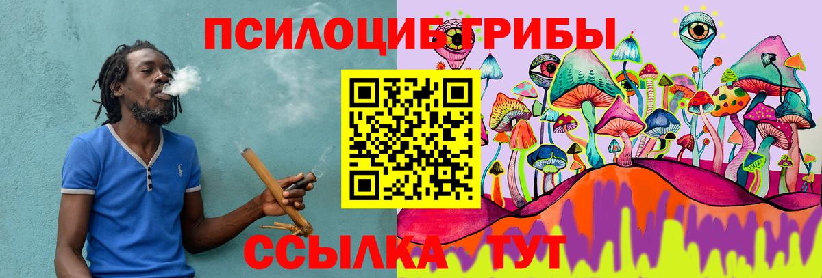 купить наркоту  Вход с VPN  Владикавказ  Галлюциногенные грибы мухоморы  Псилоцибиновые грибы Psilocybine cubensis 